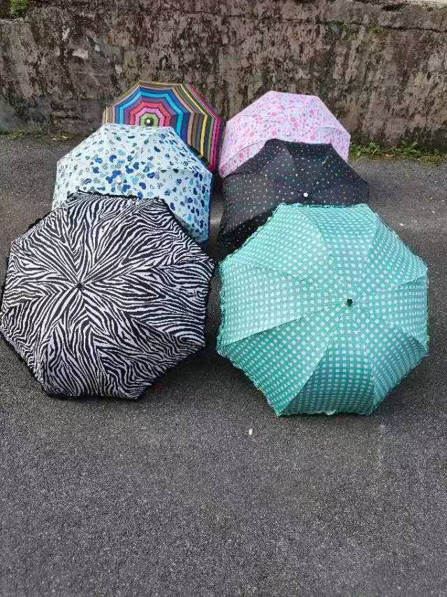 3500把8骨银胶，阿波罗雨伞，价格便宜