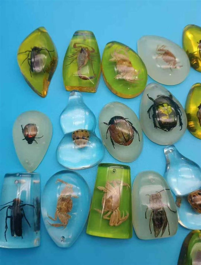 小昆虫标本，1500个 💰6毛钱一个
