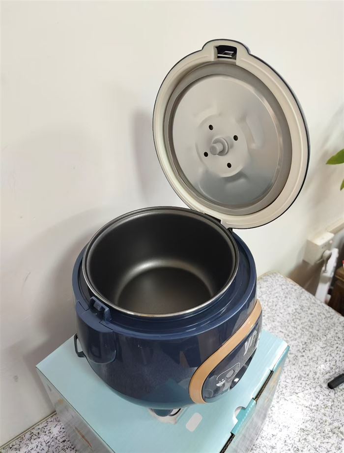 欧洲品牌TT猪仔煲 220V欧规 2升容量 原包原件现货3000pcs