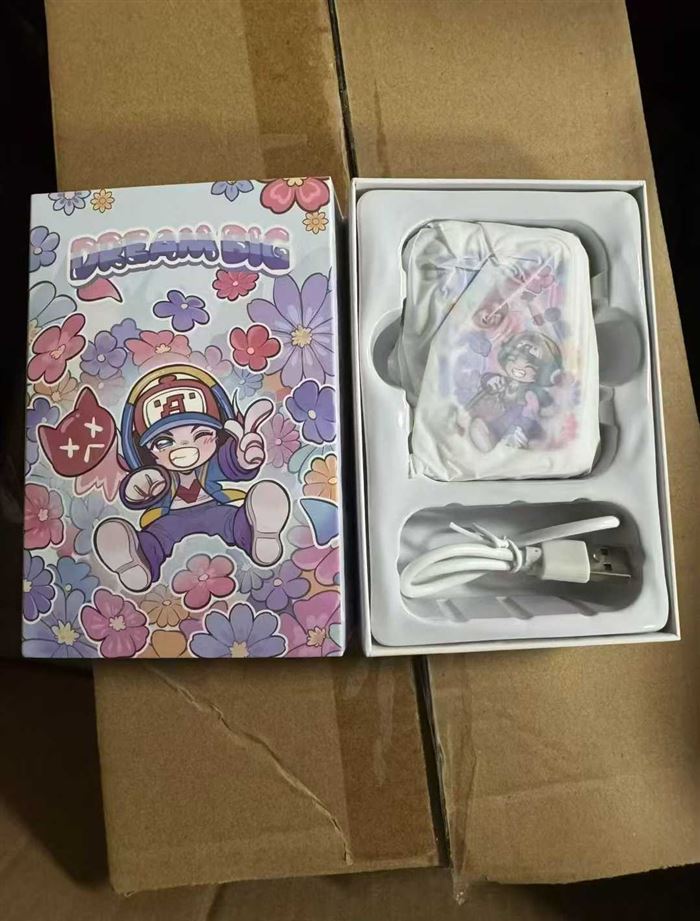 王者荣耀×乐开花系列充电宝，GK-K10白色鲁班七号款，电镀光亮外观，手感好，6000毫安，USB输出，type-c充电，小巧轻便，正品保障，1200个，低价出。