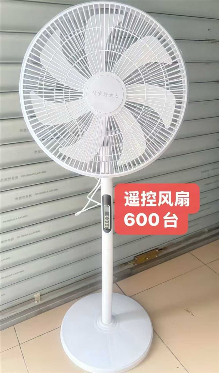 遥控落地扇， 600台， 低价处理