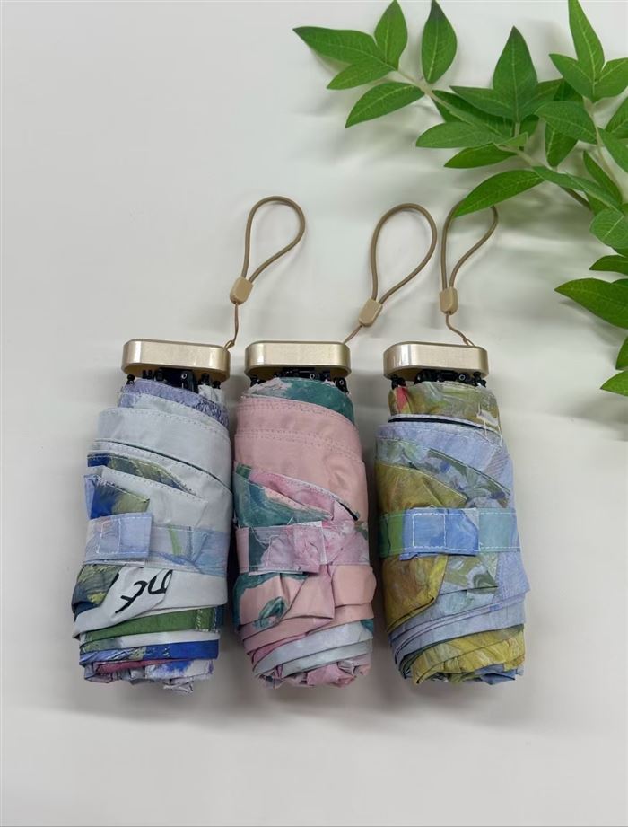 雨伞双面印花五折扁，配小提袋子，双龙骨架，需要的联系