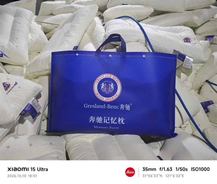 品牌记忆枕 ​数量：1000个