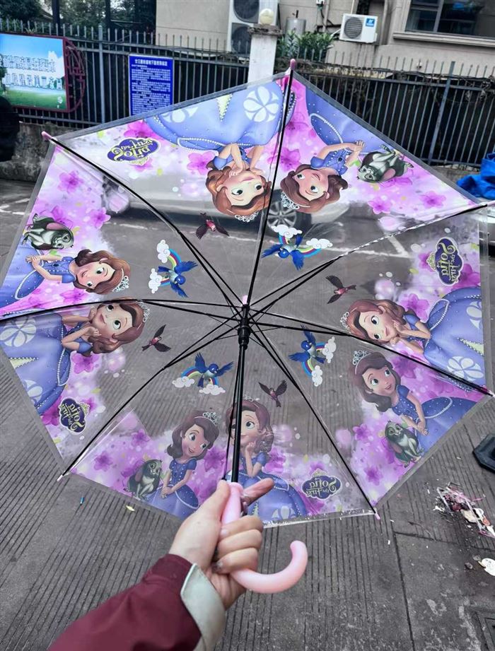 迪士尼儿童雨伞 库存800把
