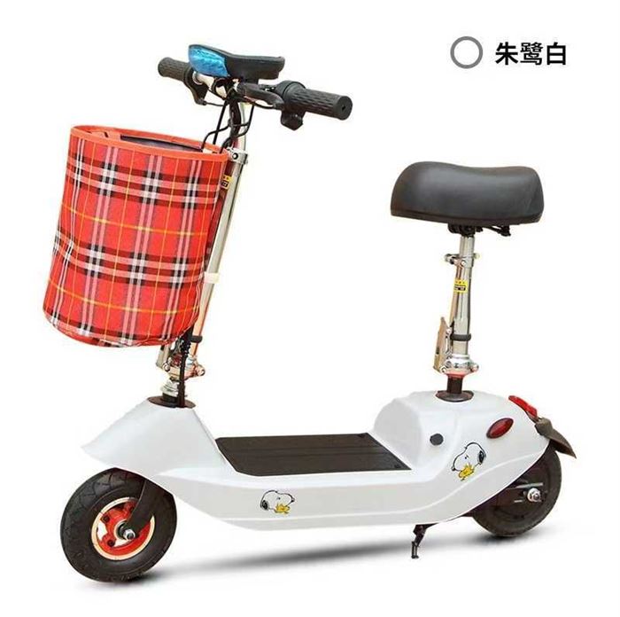 电动车含电瓶充电器，几百块钱，便宜处理