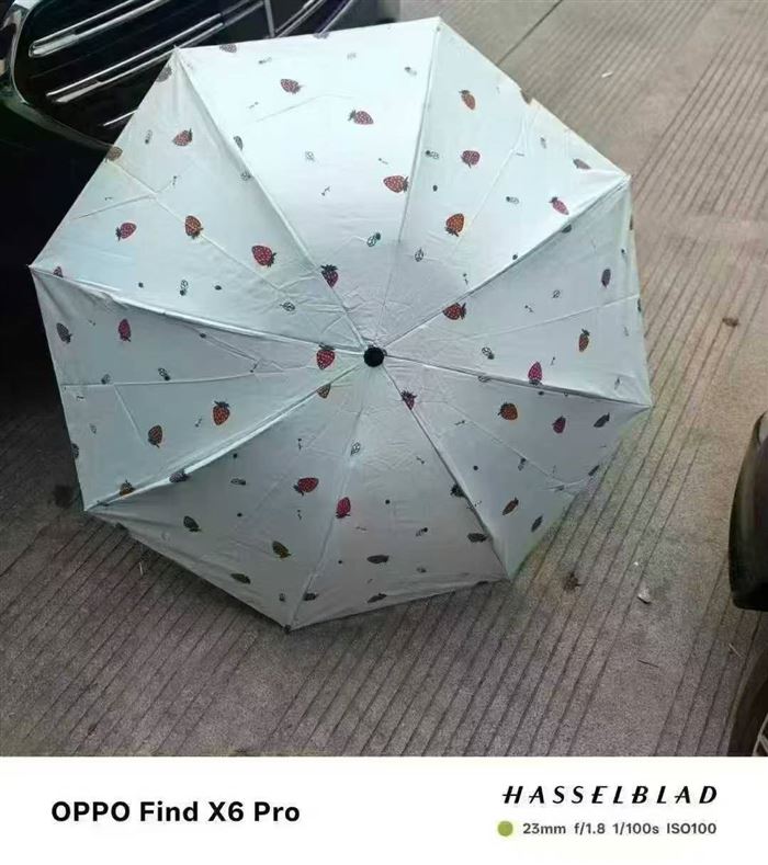 黑胶晴雨伞1500把，清货6.2元一把