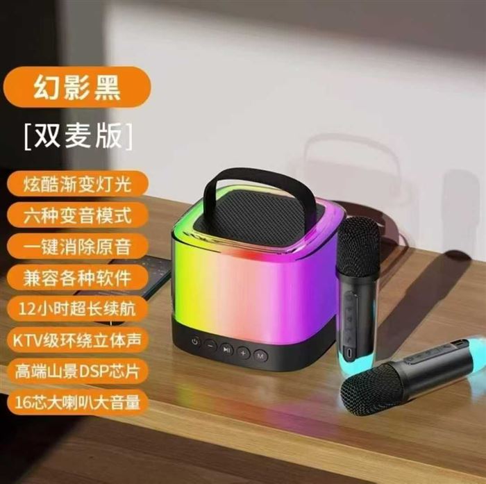 品牌山水双麦蓝牙音箱 到货 300套，一箱 30 套