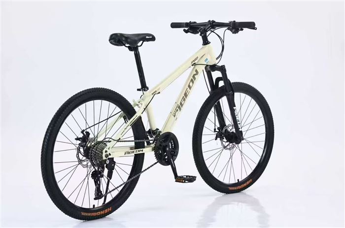 全新飞鸽 箱装 ​2xx