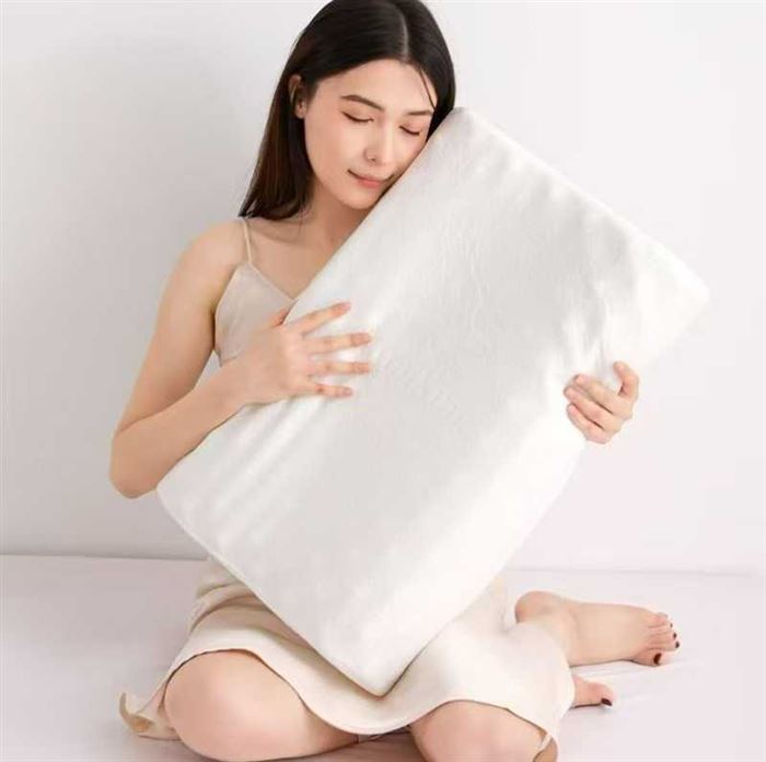 310只记忆棉枕芯乳胶枕，配防尘袋包装，​尺寸40*60，个位数处理