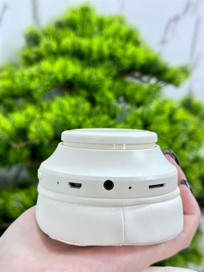 头戴式耳机带TF