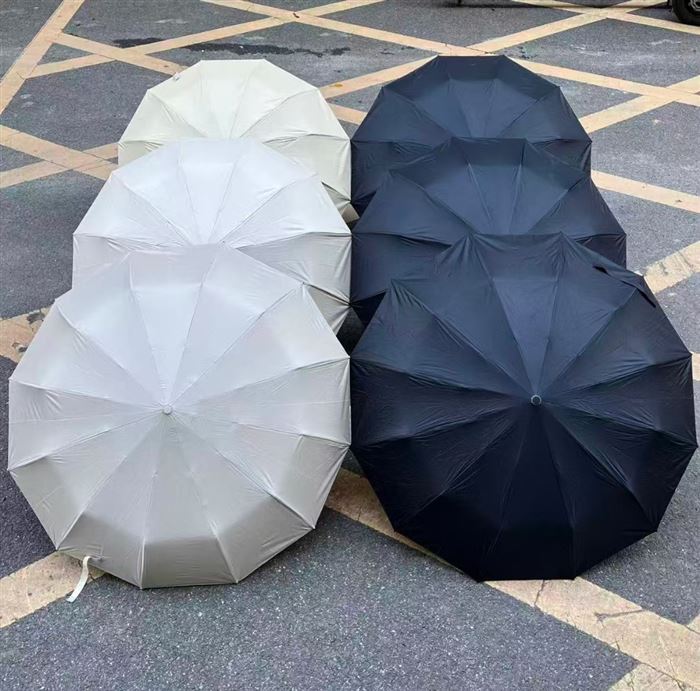 自动12骨双龙骨3+2，2个颜色，1x