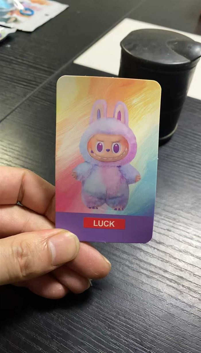 拉布布2875个！带肓袋！带小卡片！带盒子！低价处理2.x元