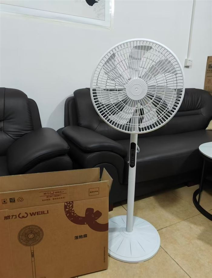 威力风扇，30元一台