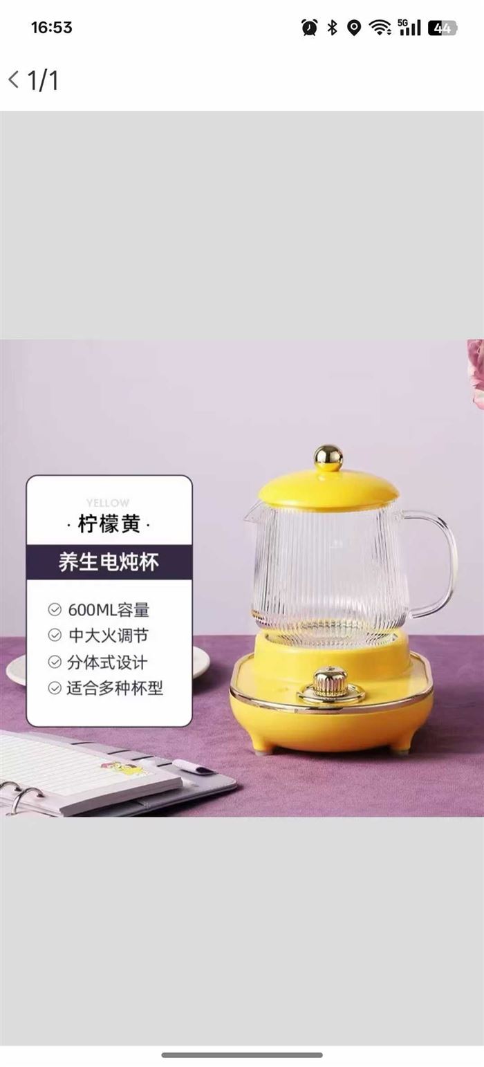 国标品牌电炖杯，质量非常好