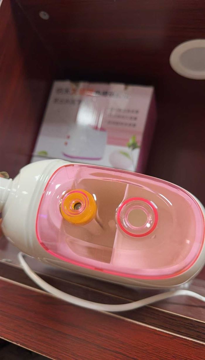 加湿蒸脸仪 3000多个 个位数亏本出